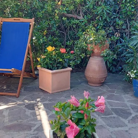 Grazioso A 5 Minuti Dal Mare Apartment Castiglioncello