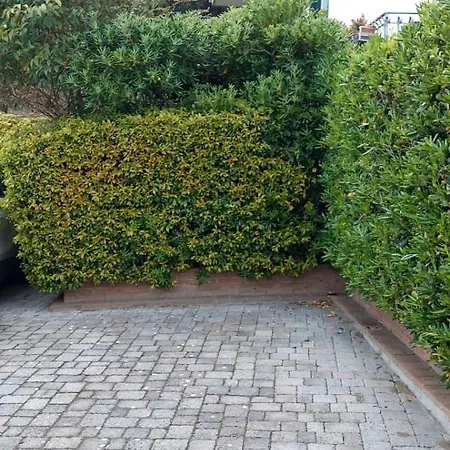 Apartment Grazioso A 5 Minuti Dal Mare *
